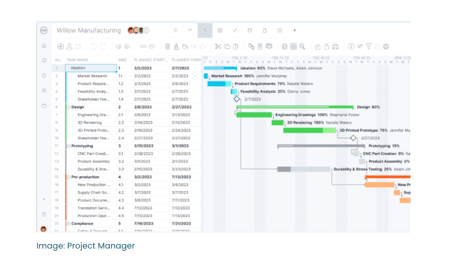 Project Management timeline