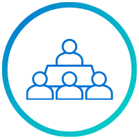 board of directors